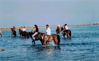 Photo N3:  Villa - maison Tezdane Vacances Midoun  TUNISIE tn-5753-1